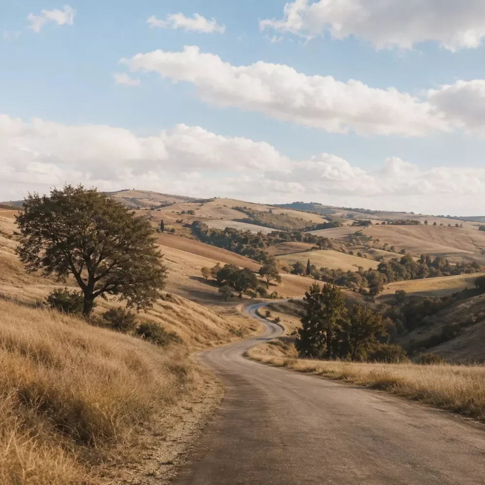 The Trip Timing Handbook
