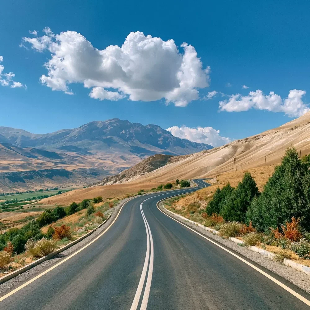 Estimating Trip Costs
