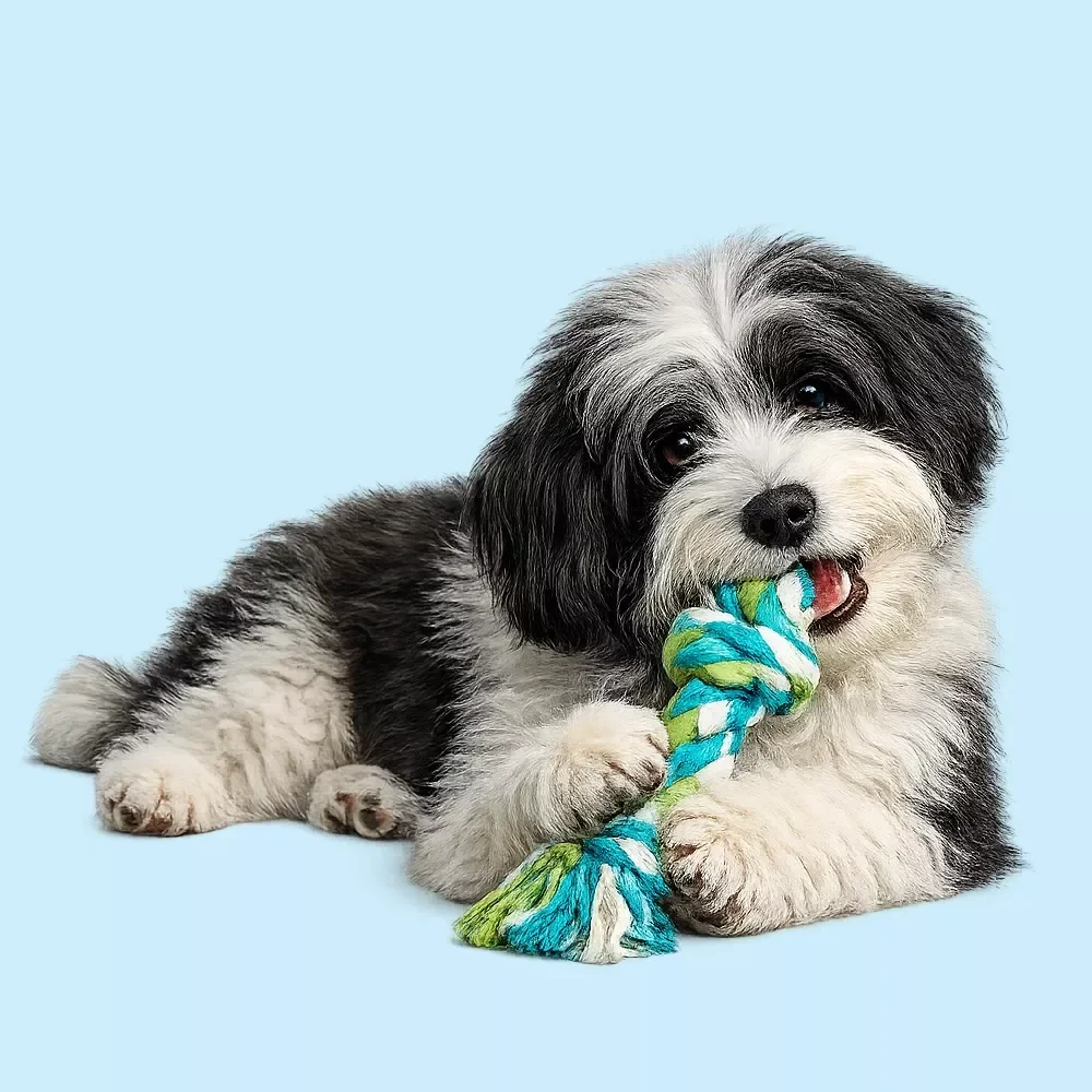 Reducing Unwanted Chewing