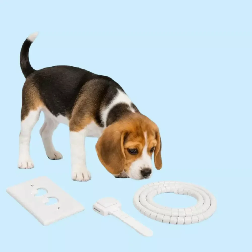 Puppy-Proofing Your Home Checklist