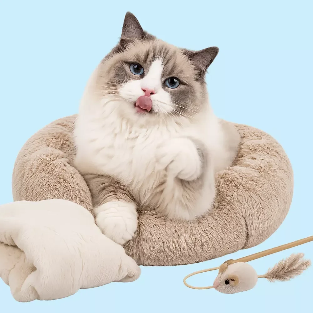 Creating the Perfect Cat Space