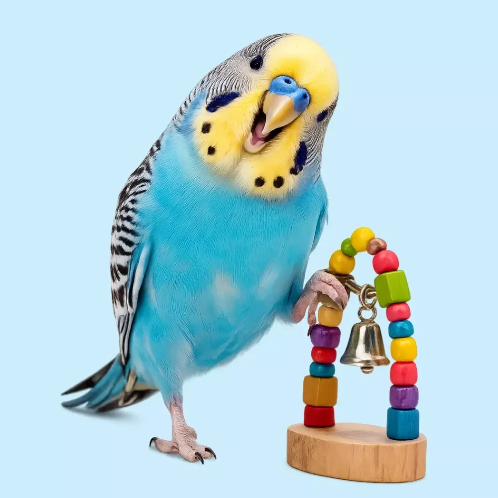 Keeping One Bird Happy
