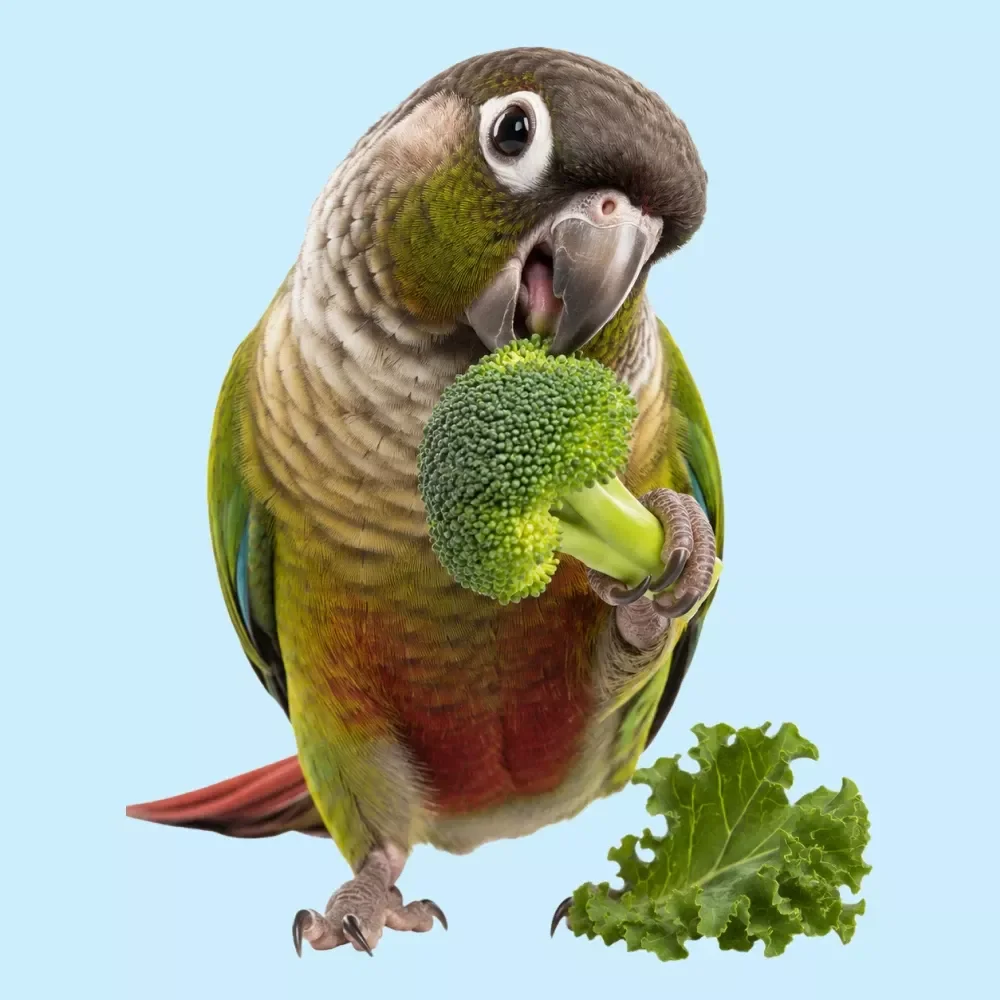 Bird Safe Produce