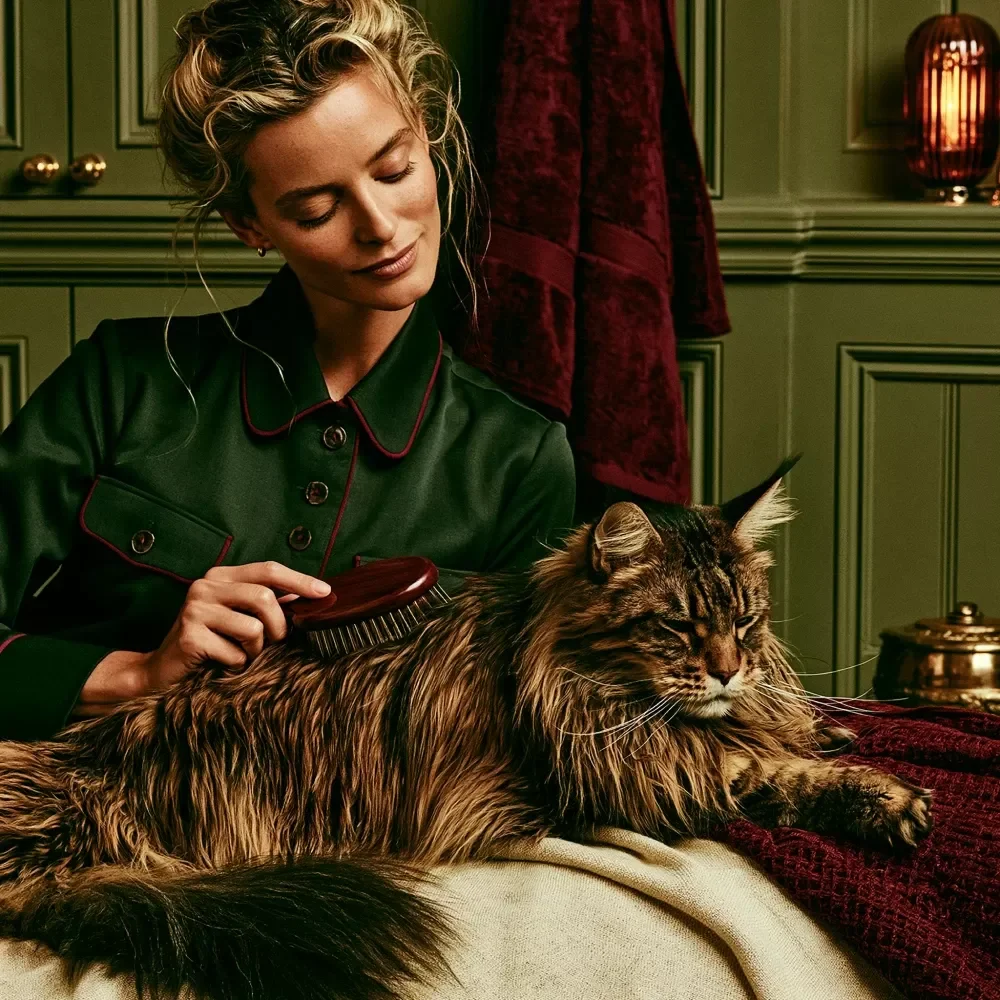Grooming Your Pet at Home With Care
