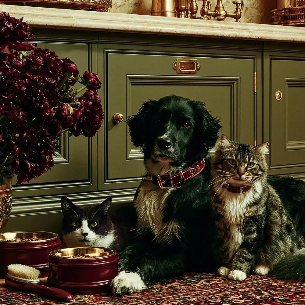 A Practical Guide to Pet Care Routines
