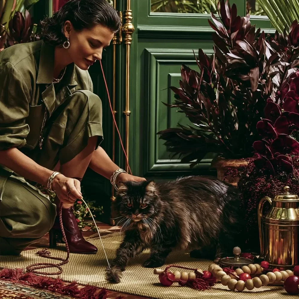 Building Play Routines for Your Cat