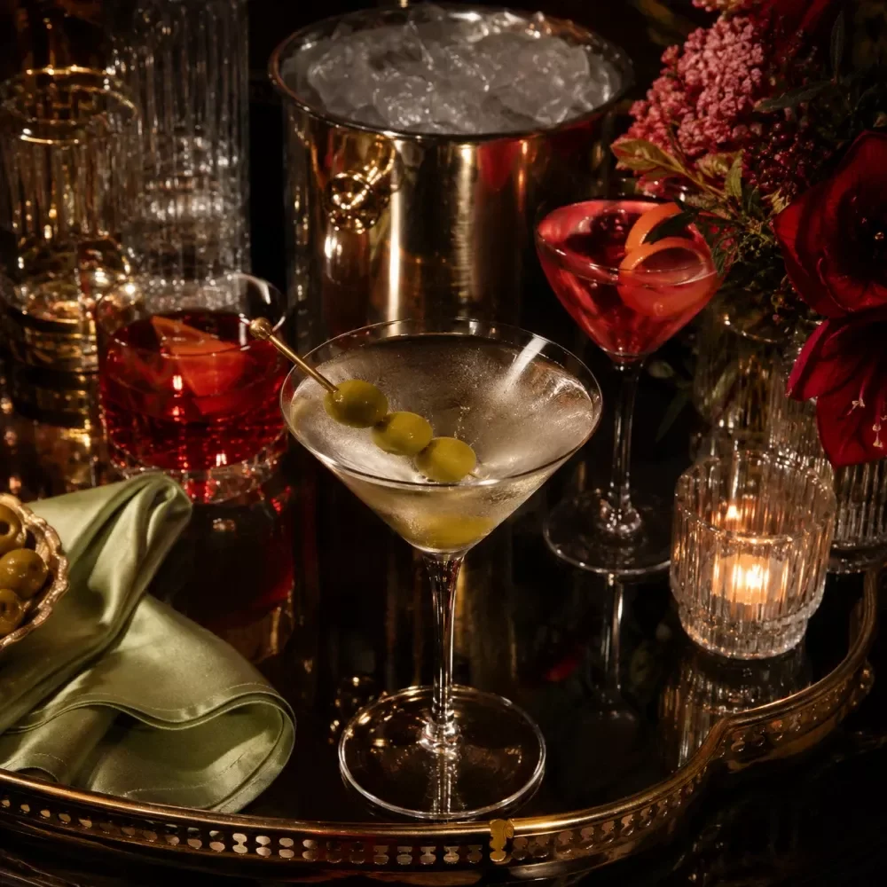 The Art of the Cocktail Party Book