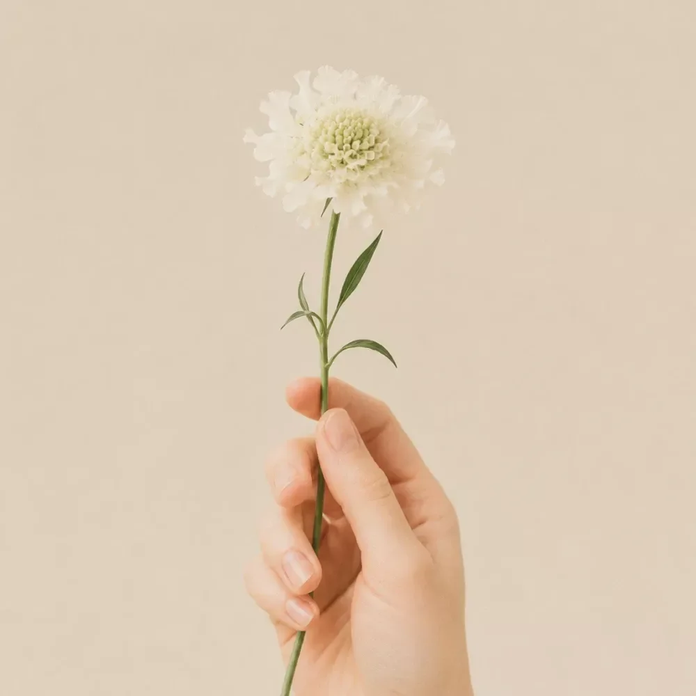 Digital Detox Weekly Tracker
