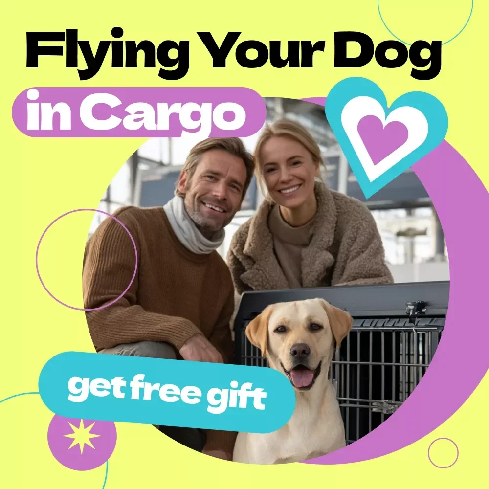 Sky Paws: Flying Your Dog in Cargo – Complete eBook Guide on How to Fly with Dog in Cargo, Airline Policies, Safety Checklist & Stress-Free Pet Travel Tips