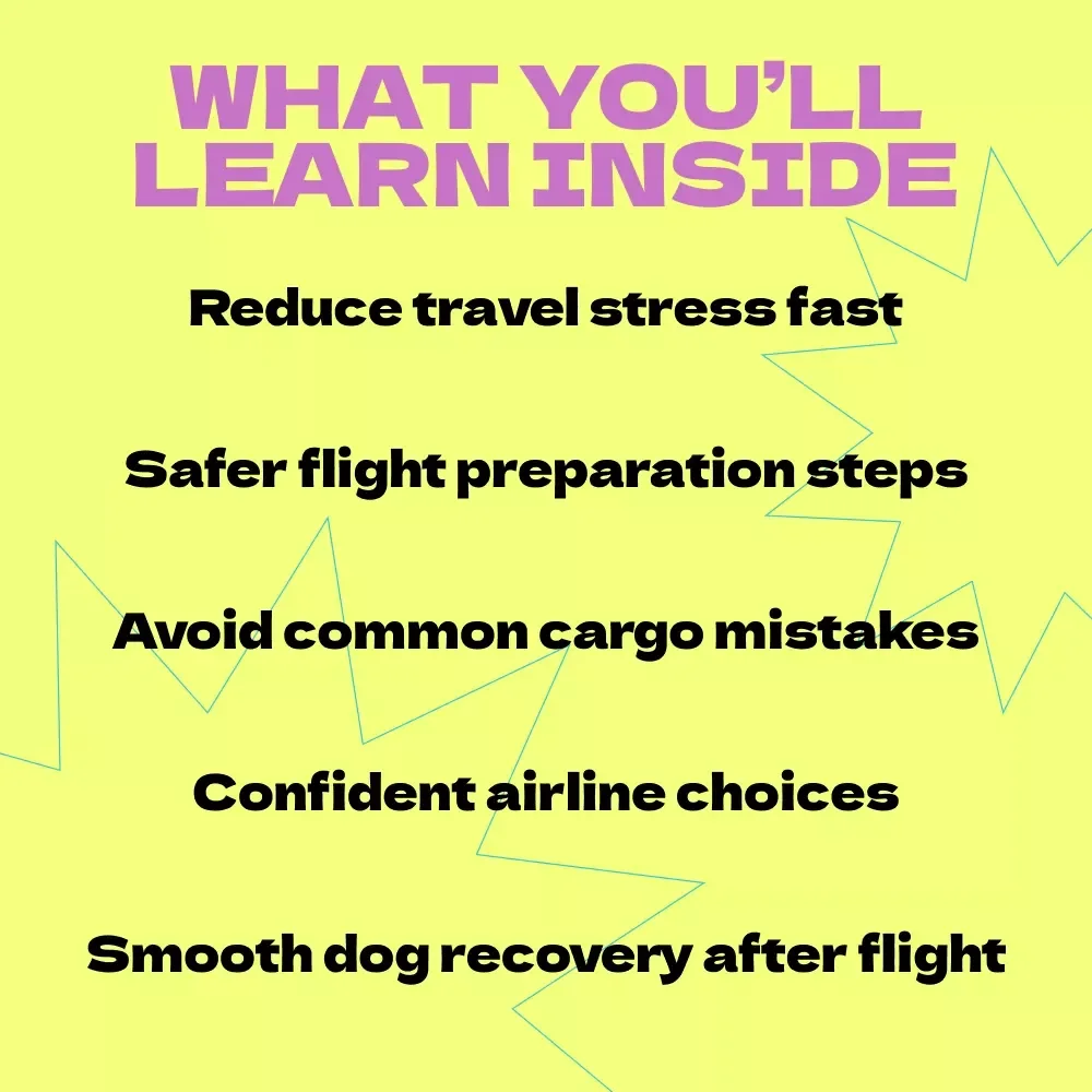 Sky Paws: Flying Your Dog in Cargo – Complete eBook Guide on How to Fly with Dog in Cargo, Airline Policies, Safety Checklist & Stress-Free Pet Travel Tips