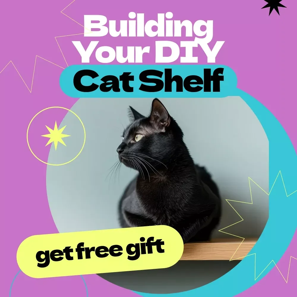 Building Your DIY Cat Shelf | How to Build DIY Cat Shelf Guide for Stylish, Safe & Space-Saving Cat Furniture | Step-by-Step Digital Download