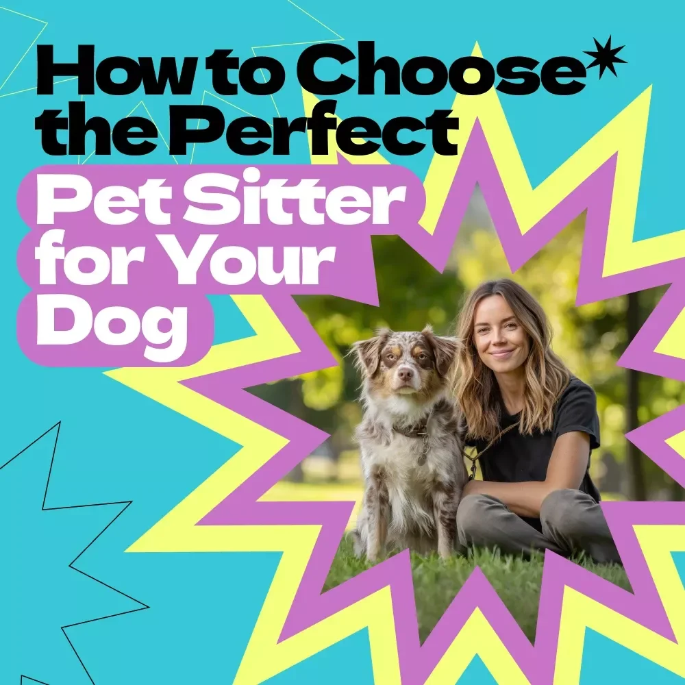 How to Choose the Perfect Pet Sitter for Your Dog – Complete Guide on how to choose pet sitter for dog, Trusted Care Checklist & Vetting Workbook