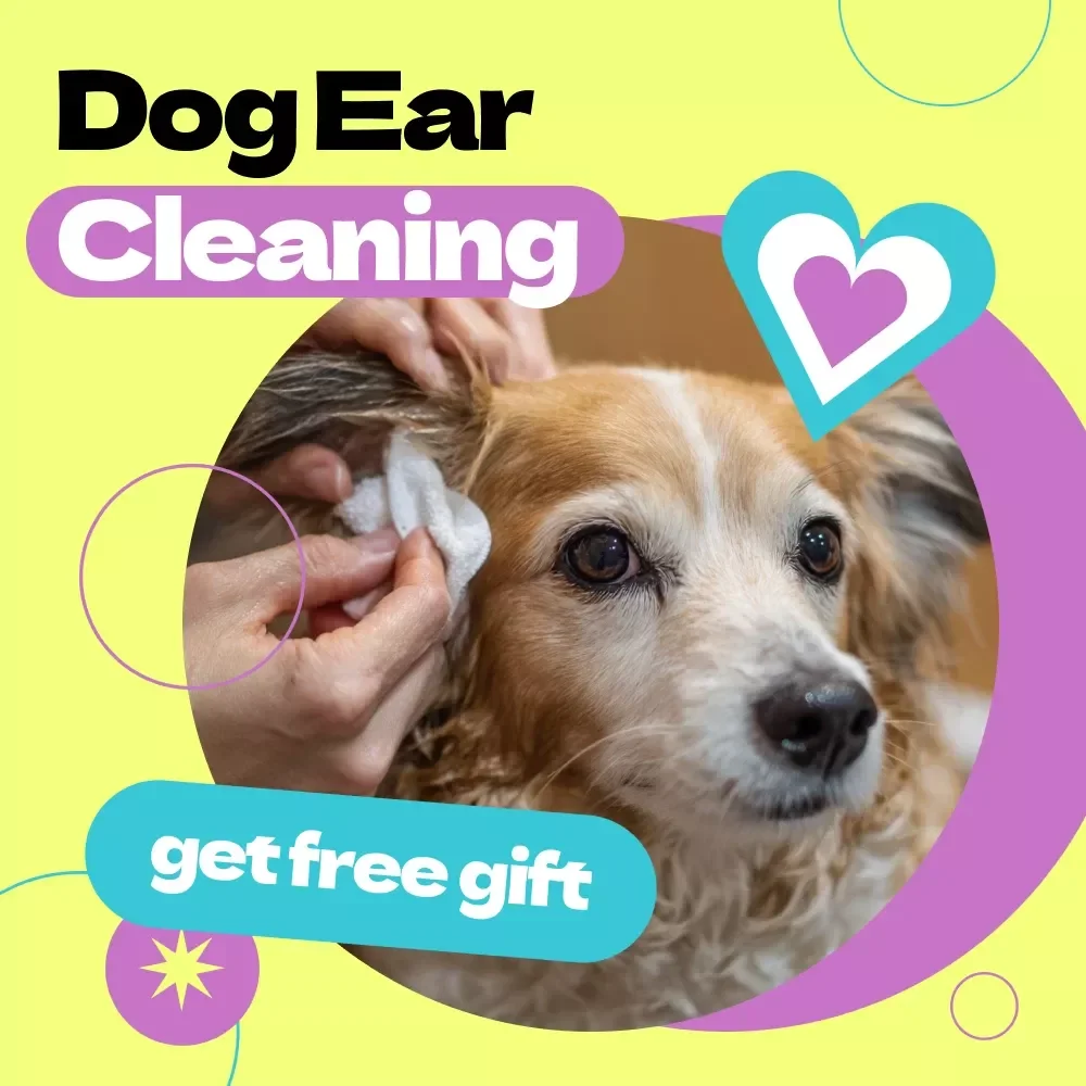 Dog Ear-Cleaning Checklist – How to Clean Dog Ears Safely Guide, Pet Care Routine, Printable Dog Grooming Checklist, Vet-Inspired Ear Cleaning Steps