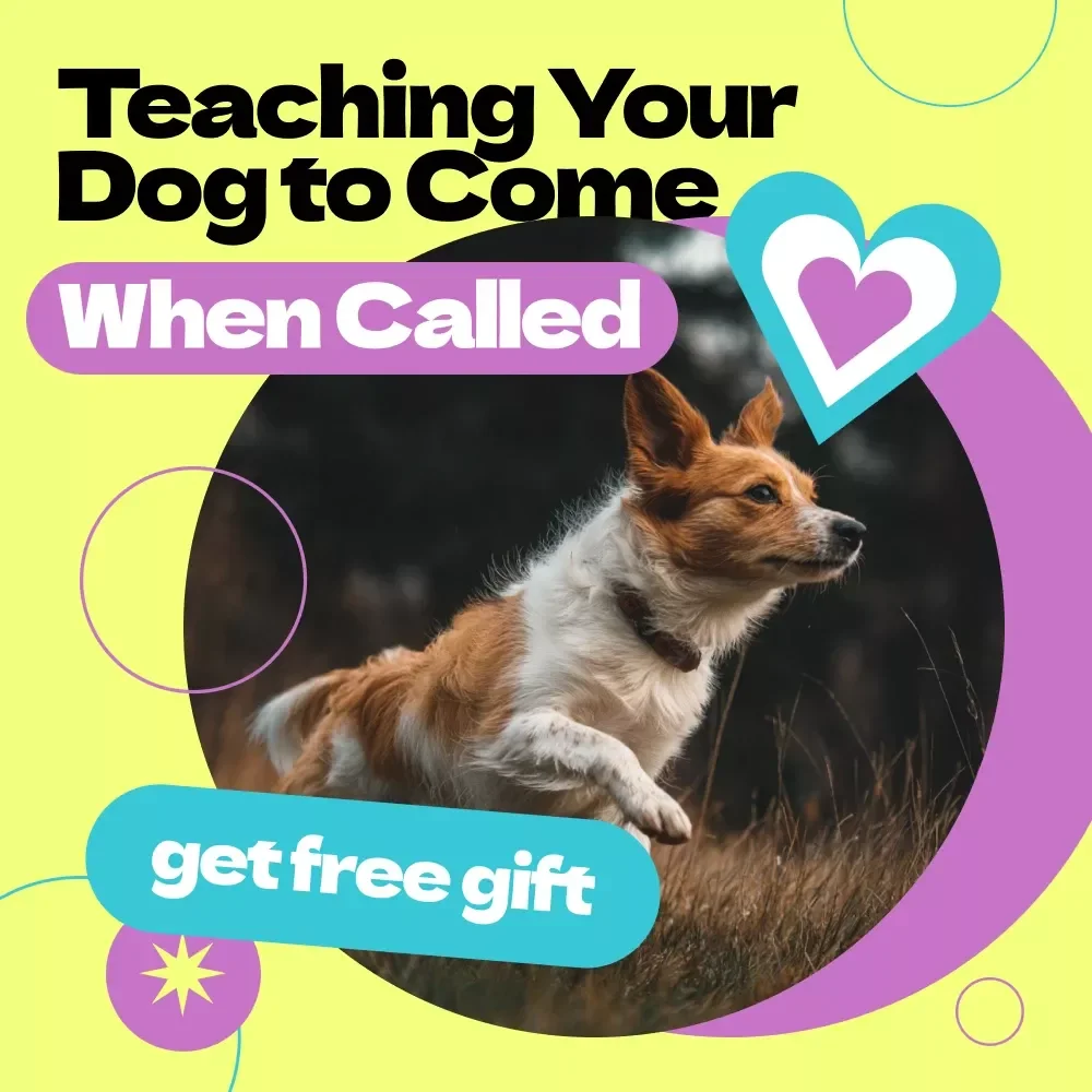 Teaching Your Dog to Come When Called – Complete Recall Training Guide | How to Teach Dog to Come When Called eBook, Step-by-Step Dog Training Guide for Reliable Recall
