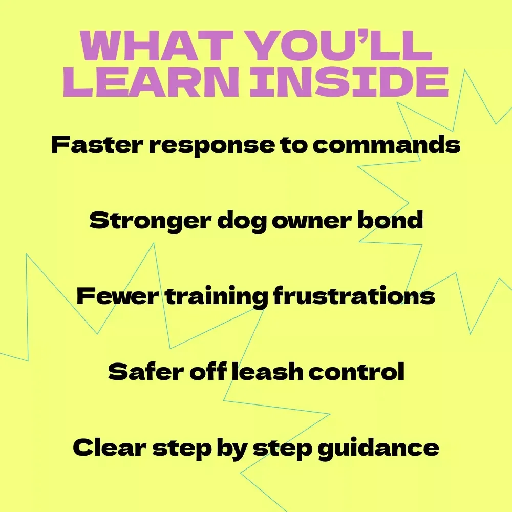 Teaching Your Dog to Come When Called – Complete Recall Training Guide | How to Teach Dog to Come When Called eBook, Step-by-Step Dog Training Guide for Reliable Recall