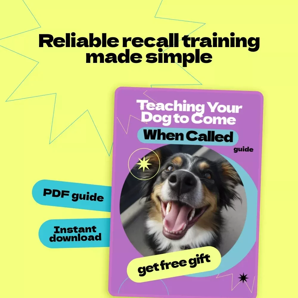 Teaching Your Dog to Come When Called – Complete Recall Training Guide | How to Teach Dog to Come When Called eBook, Step-by-Step Dog Training Guide for Reliable Recall