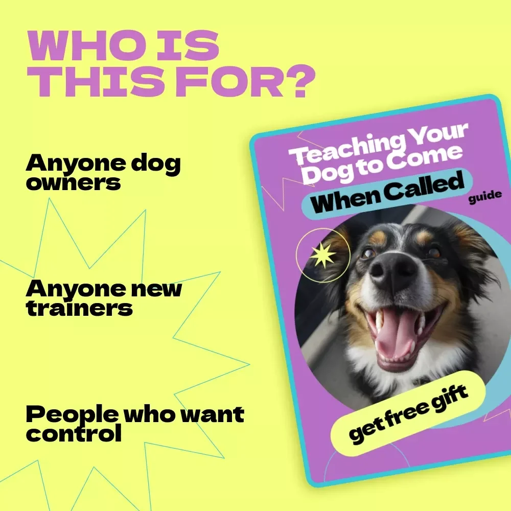 Teaching Your Dog to Come When Called – Complete Recall Training Guide | How to Teach Dog to Come When Called eBook, Step-by-Step Dog Training Guide for Reliable Recall
