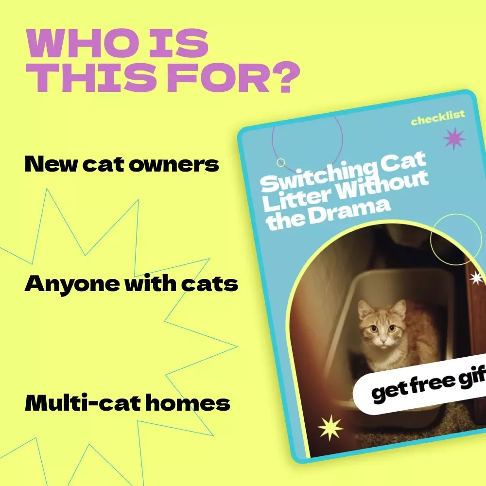 Switching Cat Litter Without the Drama – A Stress-Free Checklist Guide for Cat Owners | how to switch cat litter gradually Made Easy