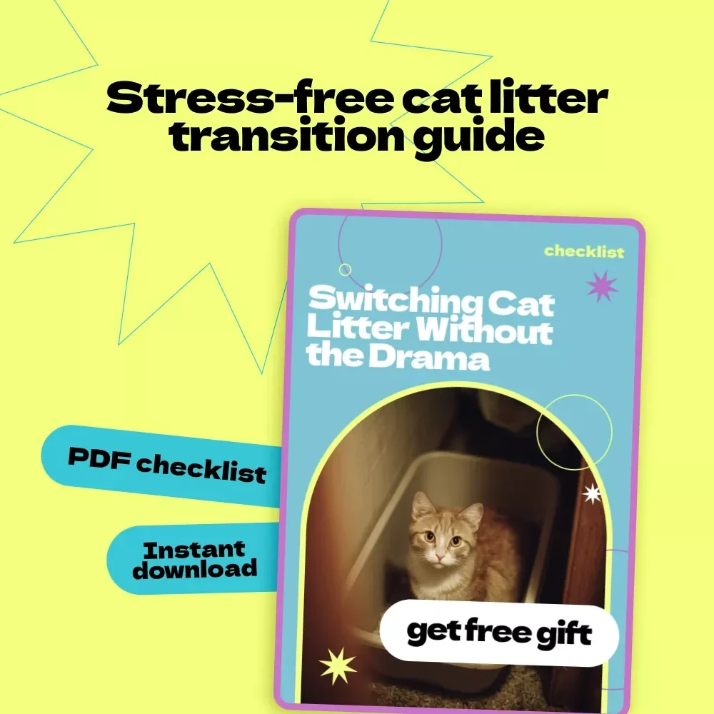 Switching Cat Litter Without the Drama – A Stress-Free Checklist Guide for Cat Owners | how to switch cat litter gradually Made Easy