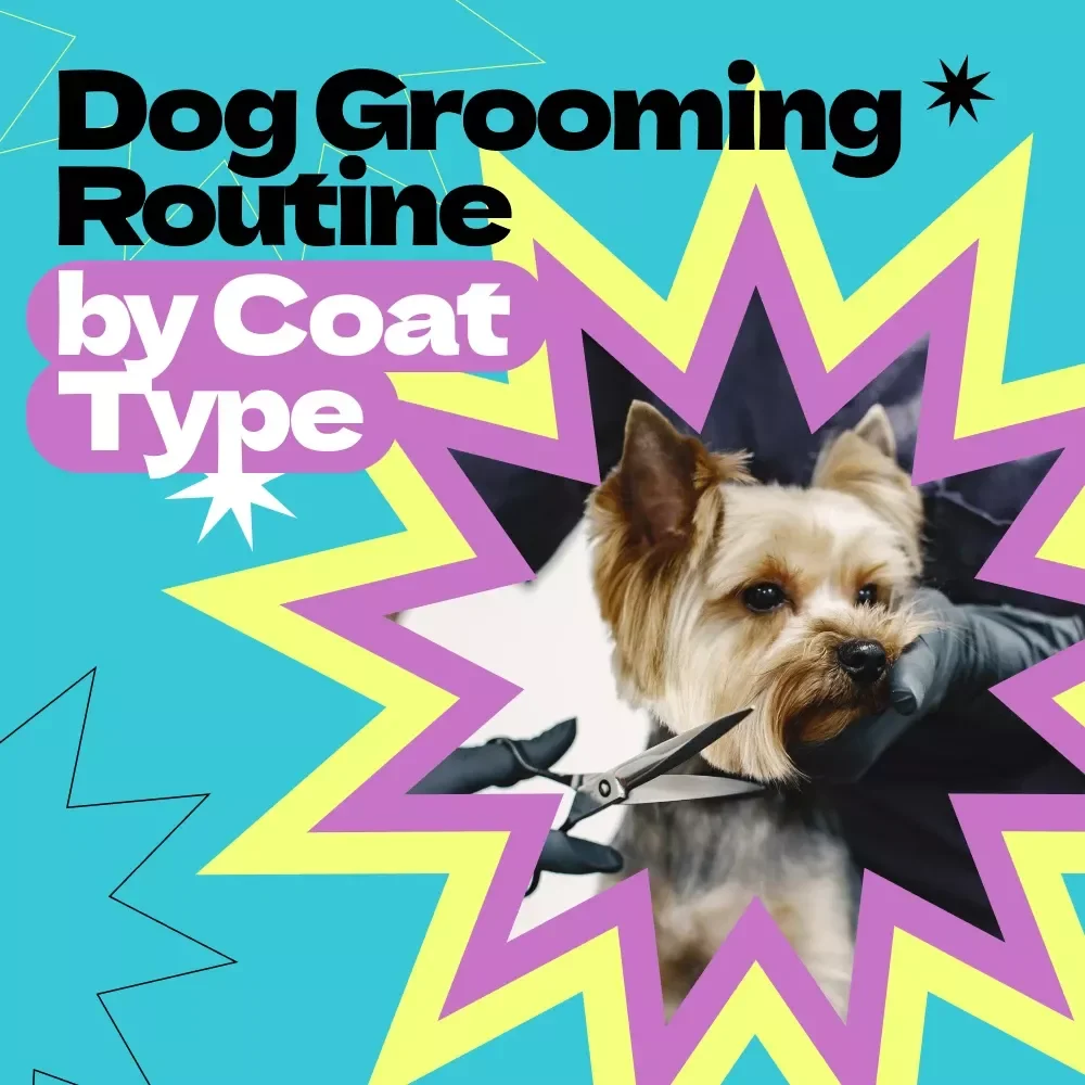 Dog Grooming Routine by Coat Type Checklist | How Often to Groom Dog by Coat Type Guide | Printable Pet Care Planner for Healthy, Happy Dogs