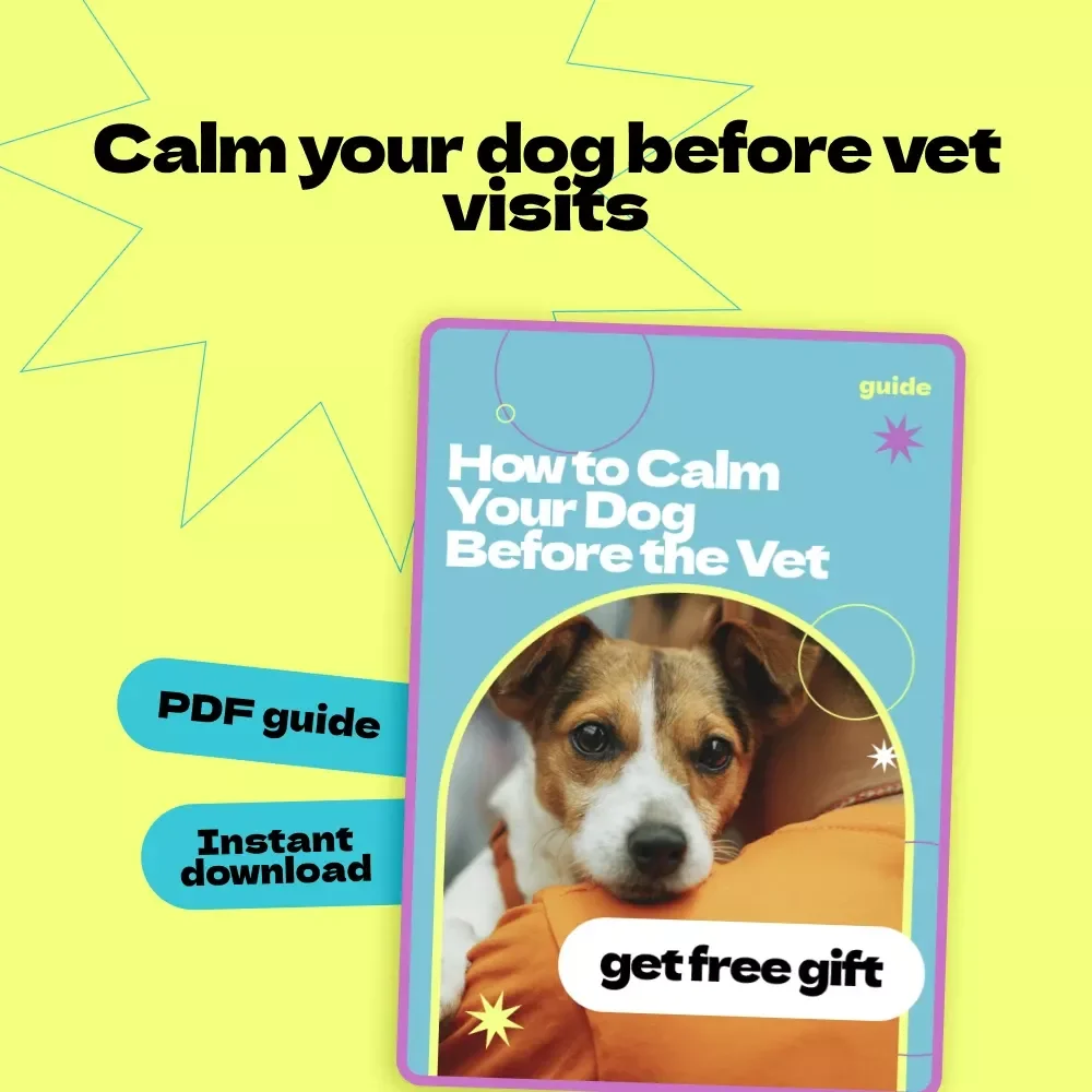 How to Calm Your Dog Before the Vet – Complete Guide & Checklist for Stress-Free Visits | how to calm dog before vet appointment