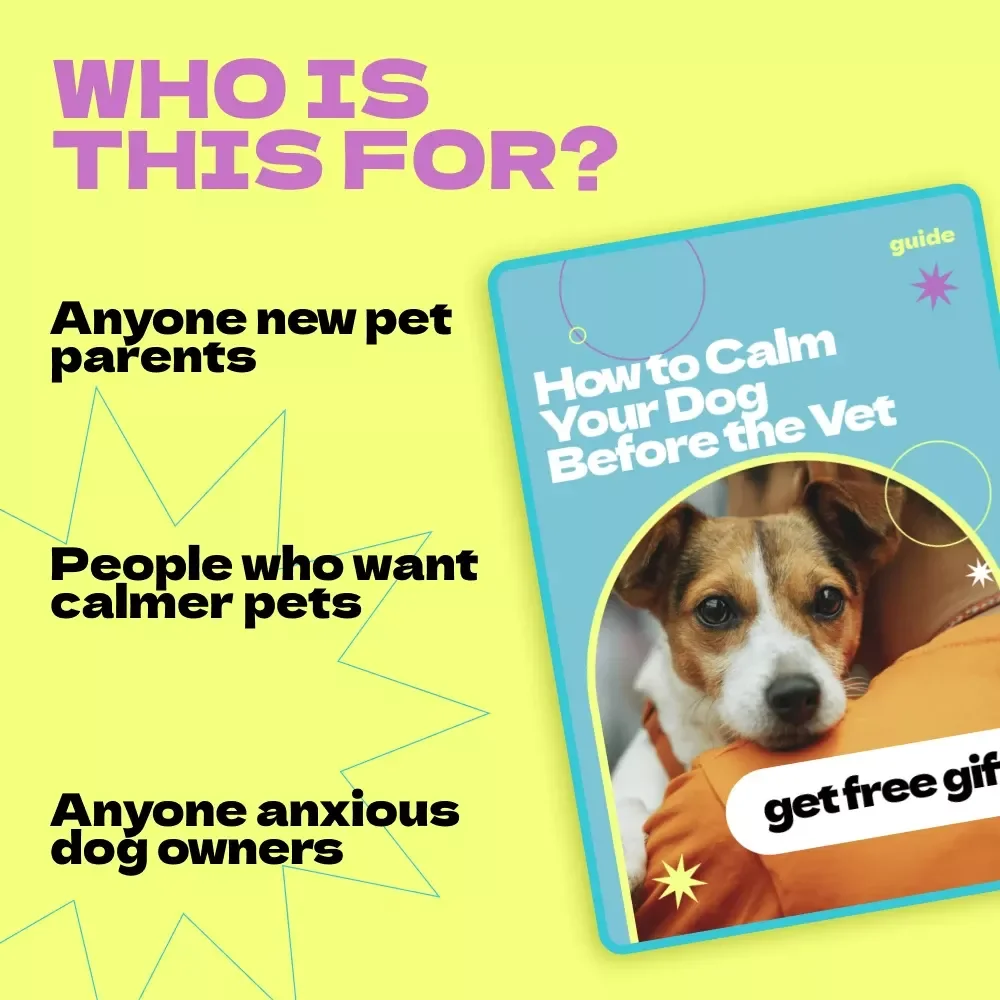 How to Calm Your Dog Before the Vet – Complete Guide & Checklist for Stress-Free Visits | how to calm dog before vet appointment