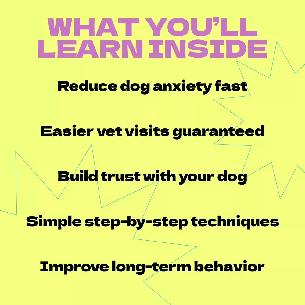 How to Calm Your Dog Before the Vet – Complete Guide & Checklist for Stress-Free Visits | how to calm dog before vet appointment