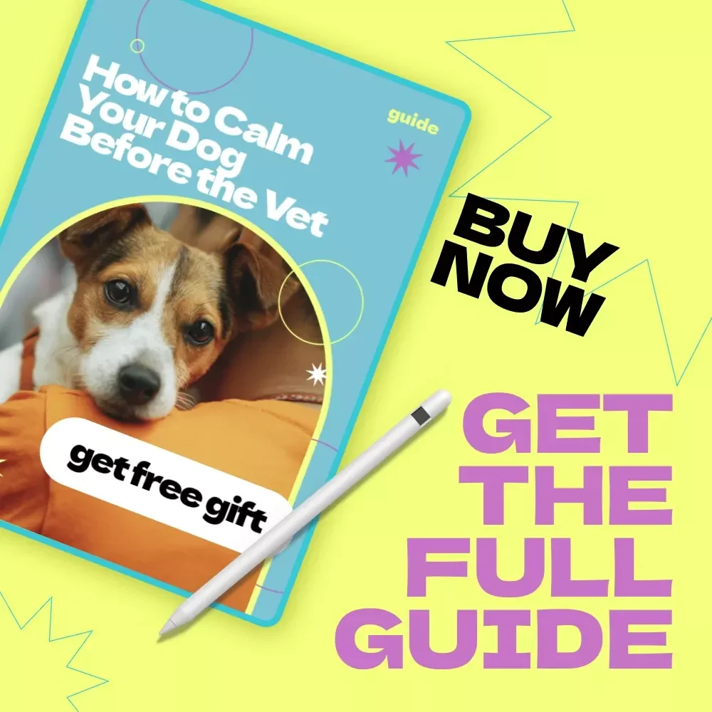 How to Calm Your Dog Before the Vet – Complete Guide & Checklist for Stress-Free Visits | how to calm dog before vet appointment