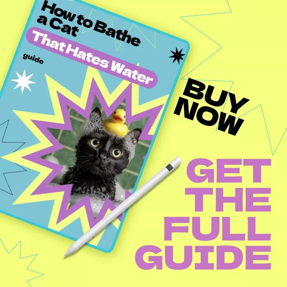 How to Bathe a Cat That Hates Water – Complete Step-by-Step Guide for Stress-Free Cat Bathing, Calm Grooming Techniques & Easy Home Care eBook