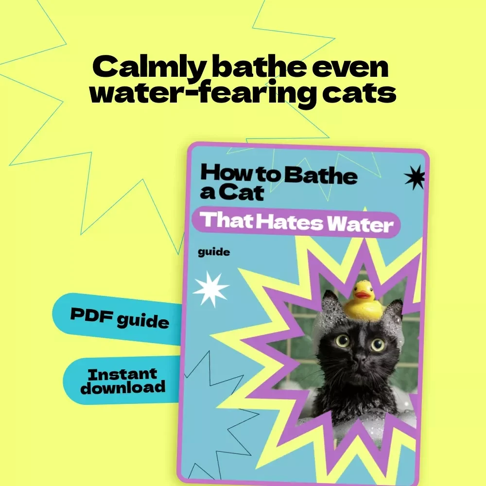 How to Bathe a Cat That Hates Water – Complete Step-by-Step Guide for Stress-Free Cat Bathing, Calm Grooming Techniques & Easy Home Care eBook