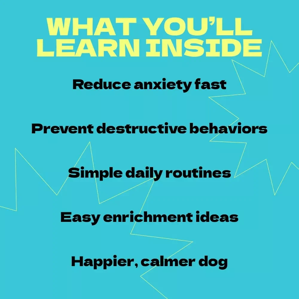 Entertaining Your Dog When Alone – Ultimate Ebook Guide on How to Entertain Dog When Home Alone, Reduce Boredom & Anxiety, DIY Dog Activities & Enrichment Ideas