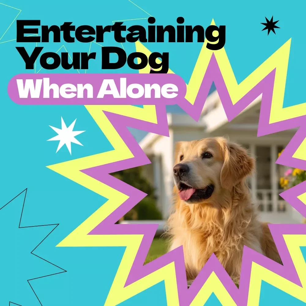 Entertaining Your Dog When Alone – Ultimate Ebook Guide on How to Entertain Dog When Home Alone, Reduce Boredom & Anxiety, DIY Dog Activities & Enrichment Ideas