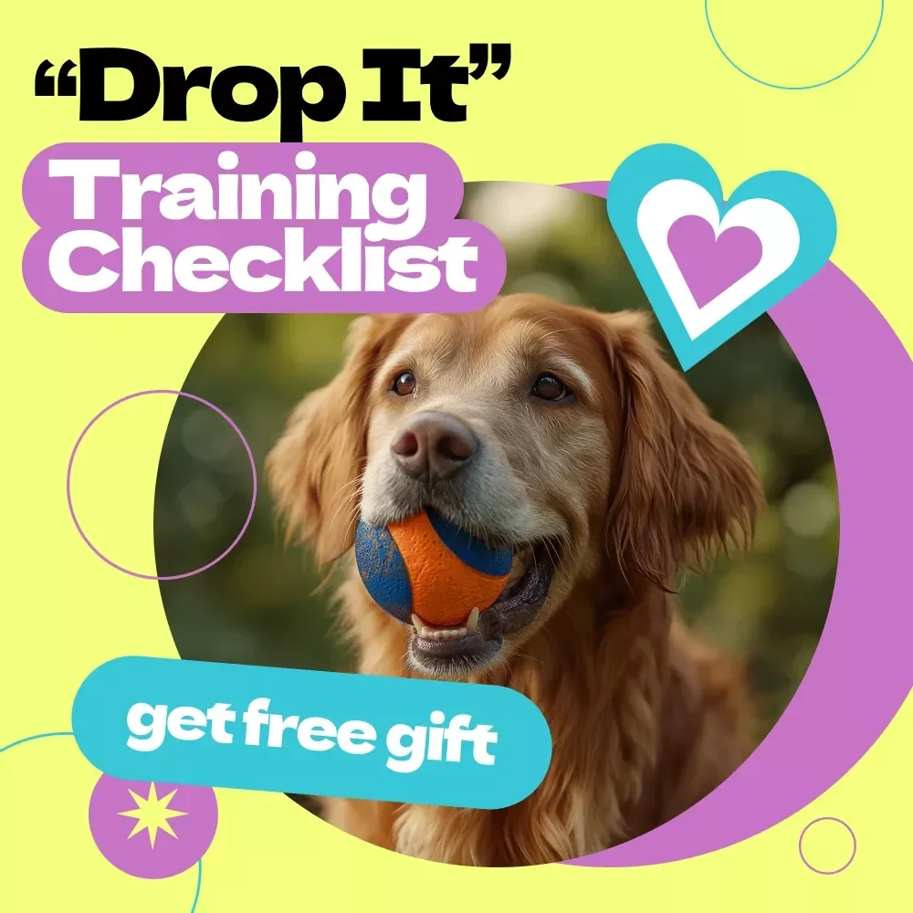 “Drop It” Training Checklist – How to Teach Dog to Drop It Step-by-Step Guide for Calm, Reliable Training & Everyday Safety Skills