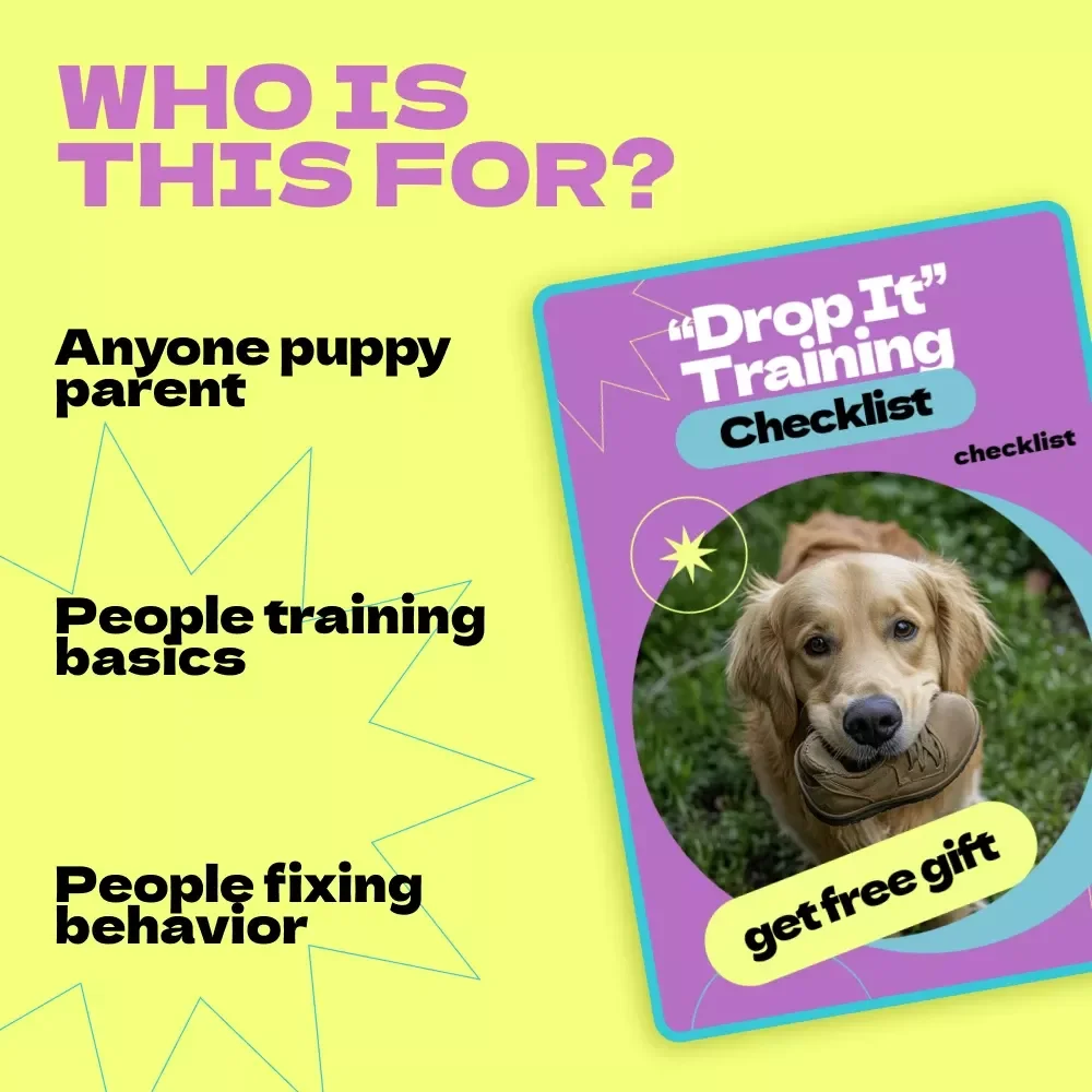 “Drop It” Training Checklist – How to Teach Dog to Drop It Step-by-Step Guide for Calm, Reliable Training & Everyday Safety Skills
