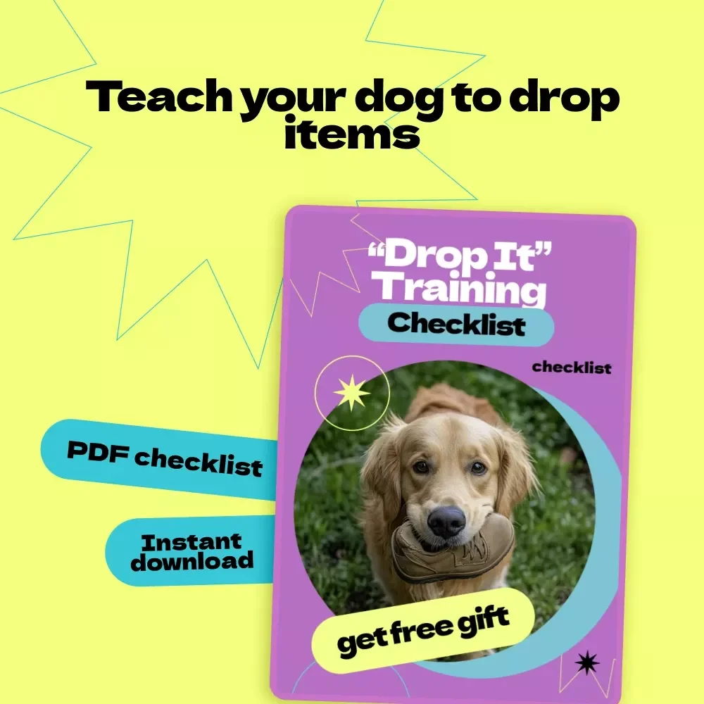 “Drop It” Training Checklist – How to Teach Dog to Drop It Step-by-Step Guide for Calm, Reliable Training & Everyday Safety Skills