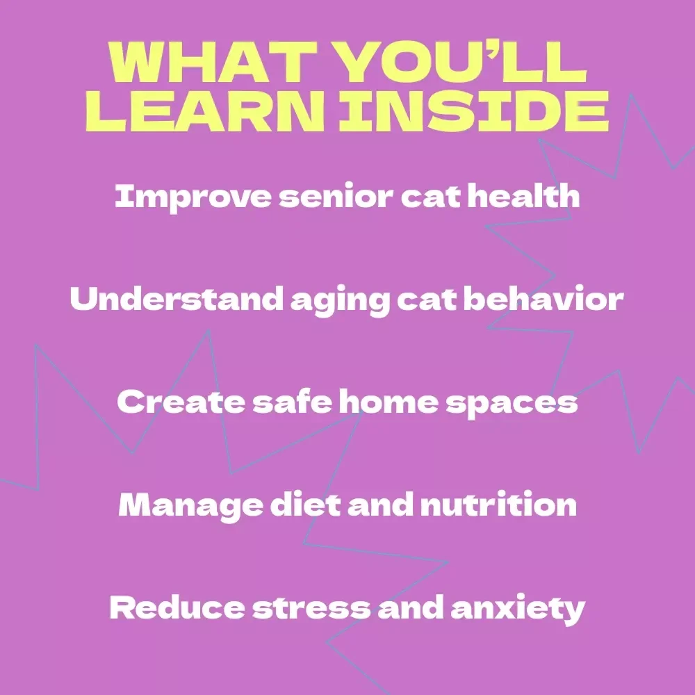 Caring for Your Senior Cat at Home – Complete Guide & Checklist | How to Care for Senior Cat at Home eBook for Pet Owners