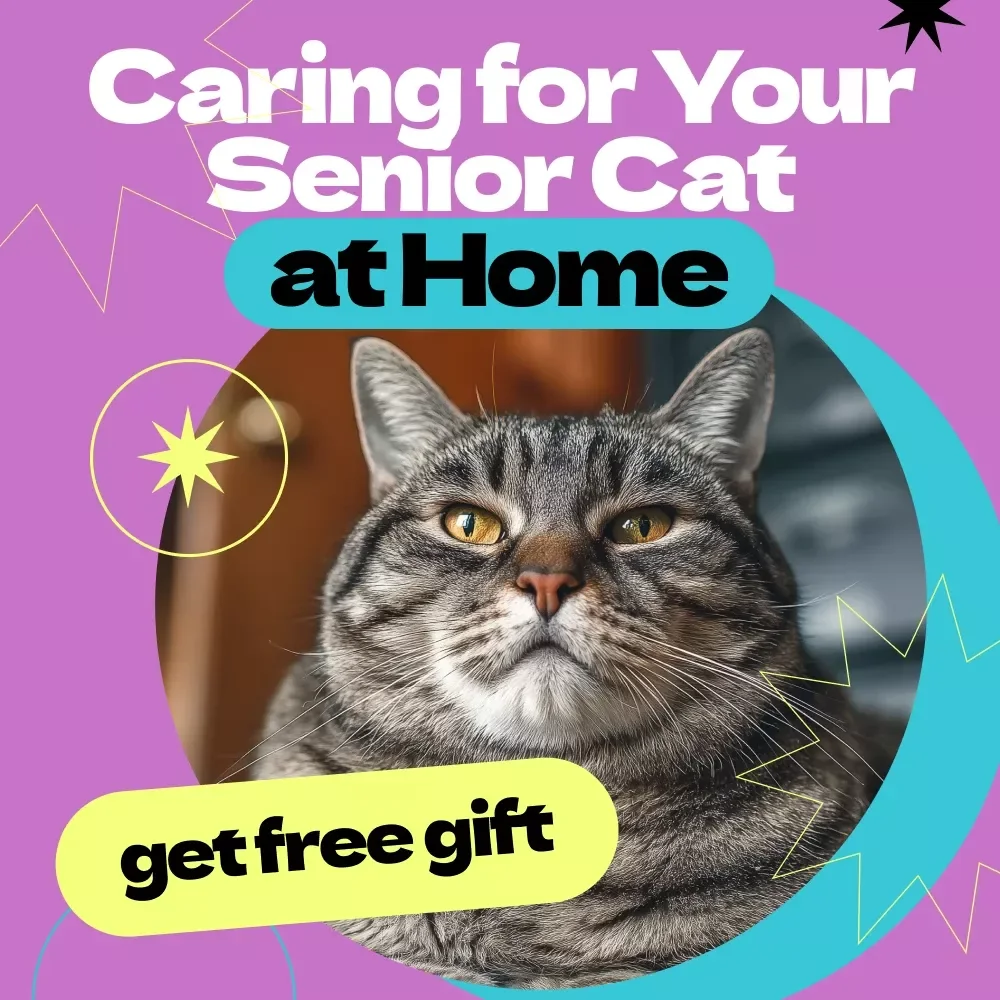 Caring for Your Senior Cat at Home – Complete Guide & Checklist | How to Care for Senior Cat at Home eBook for Pet Owners