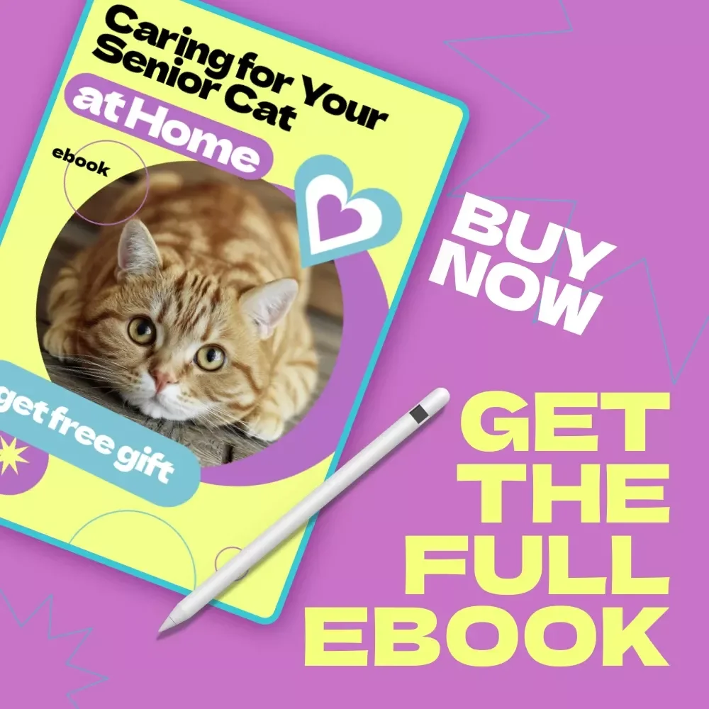 Caring for Your Senior Cat at Home – Complete Guide & Checklist | How to Care for Senior Cat at Home eBook for Pet Owners