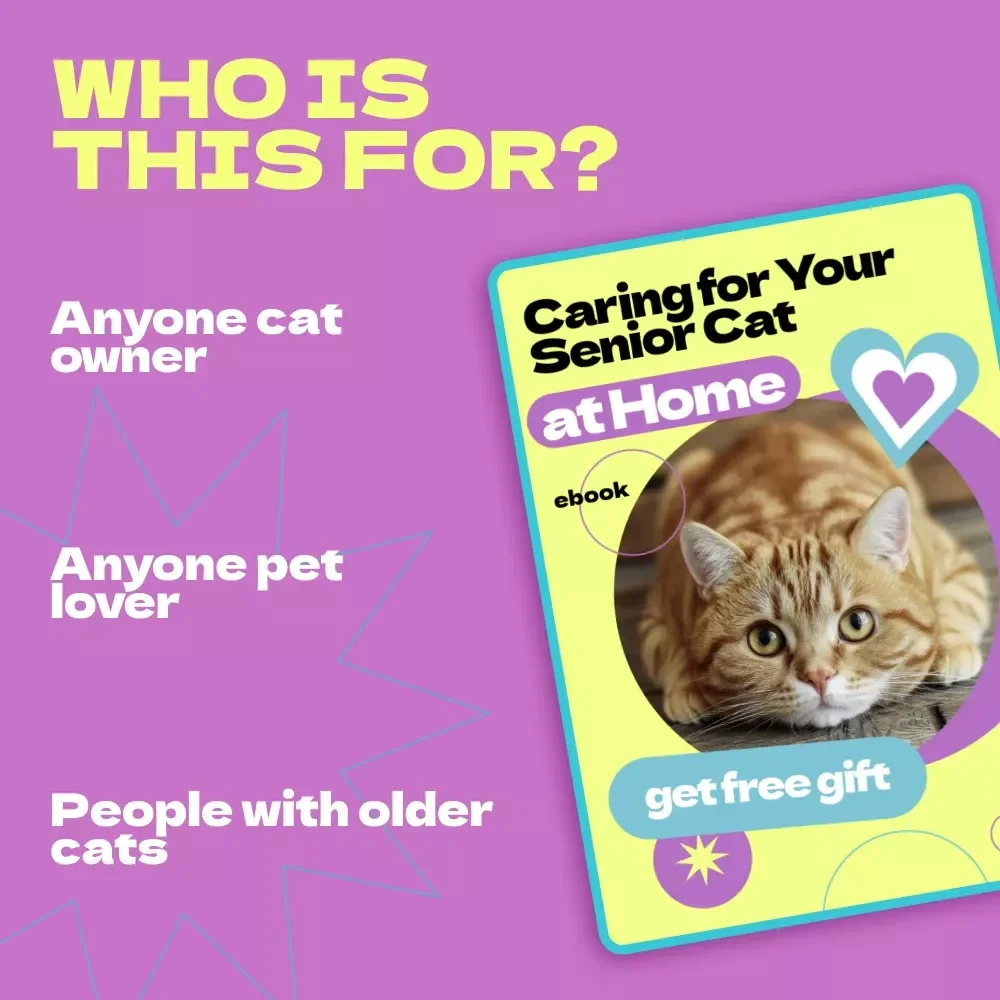 Caring for Your Senior Cat at Home – Complete Guide & Checklist | How to Care for Senior Cat at Home eBook for Pet Owners