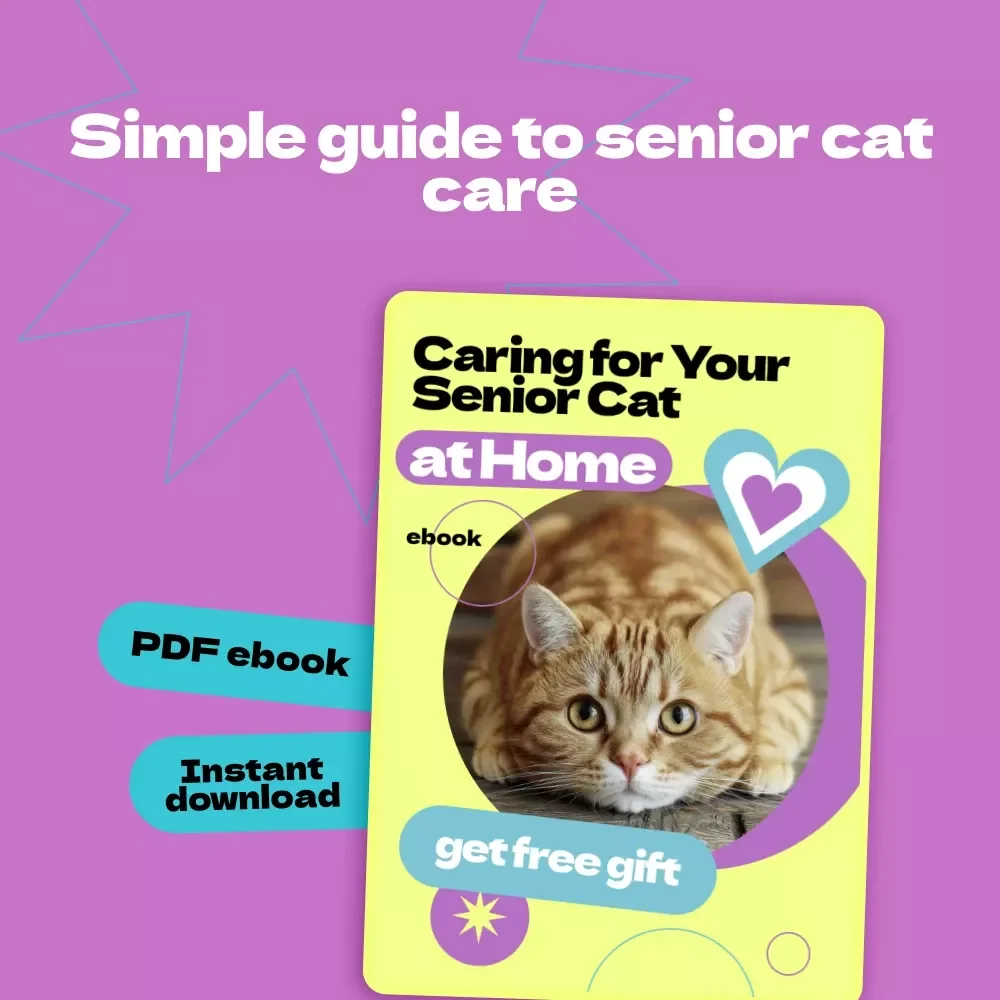 Caring for Your Senior Cat at Home – Complete Guide & Checklist | How to Care for Senior Cat at Home eBook for Pet Owners