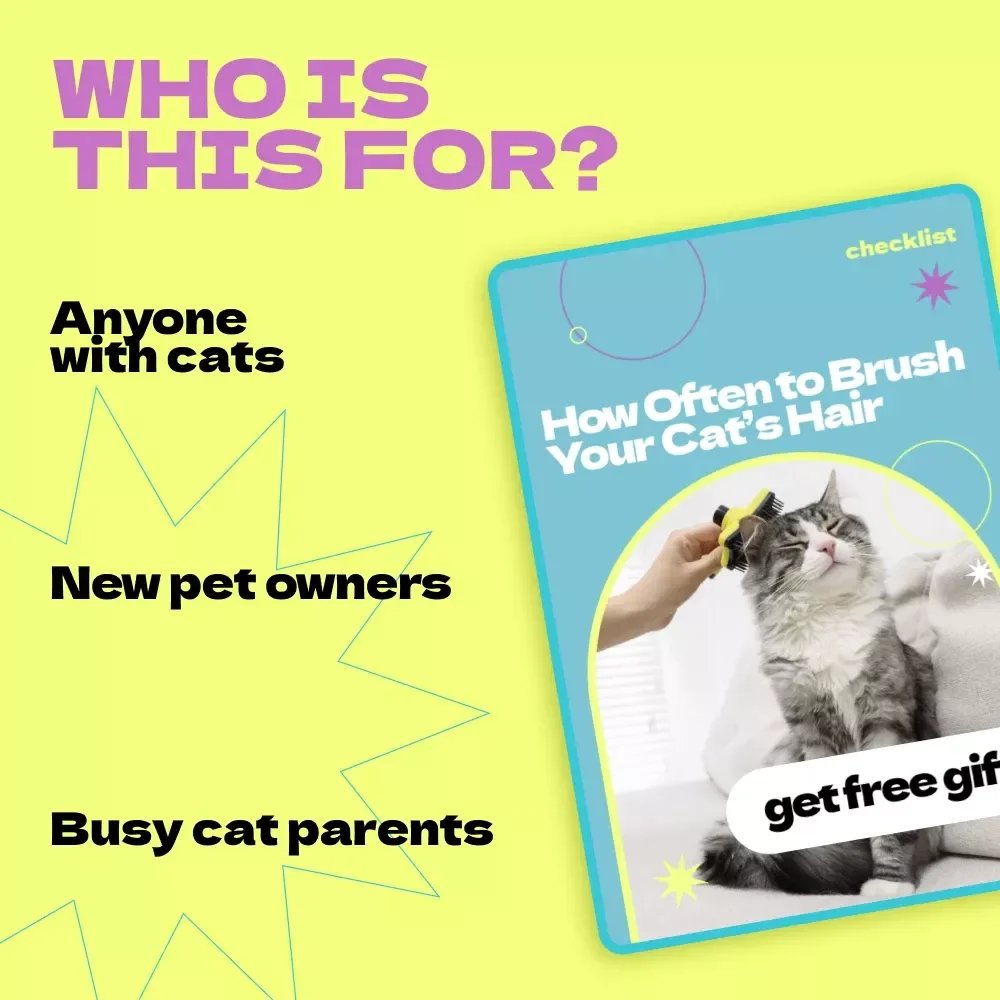 How Often to Brush Your Cat’s Hair Checklist – Easy Grooming Guide for Pet Owners, Cat Care Routine Planner, how often to brush cat hair Guide