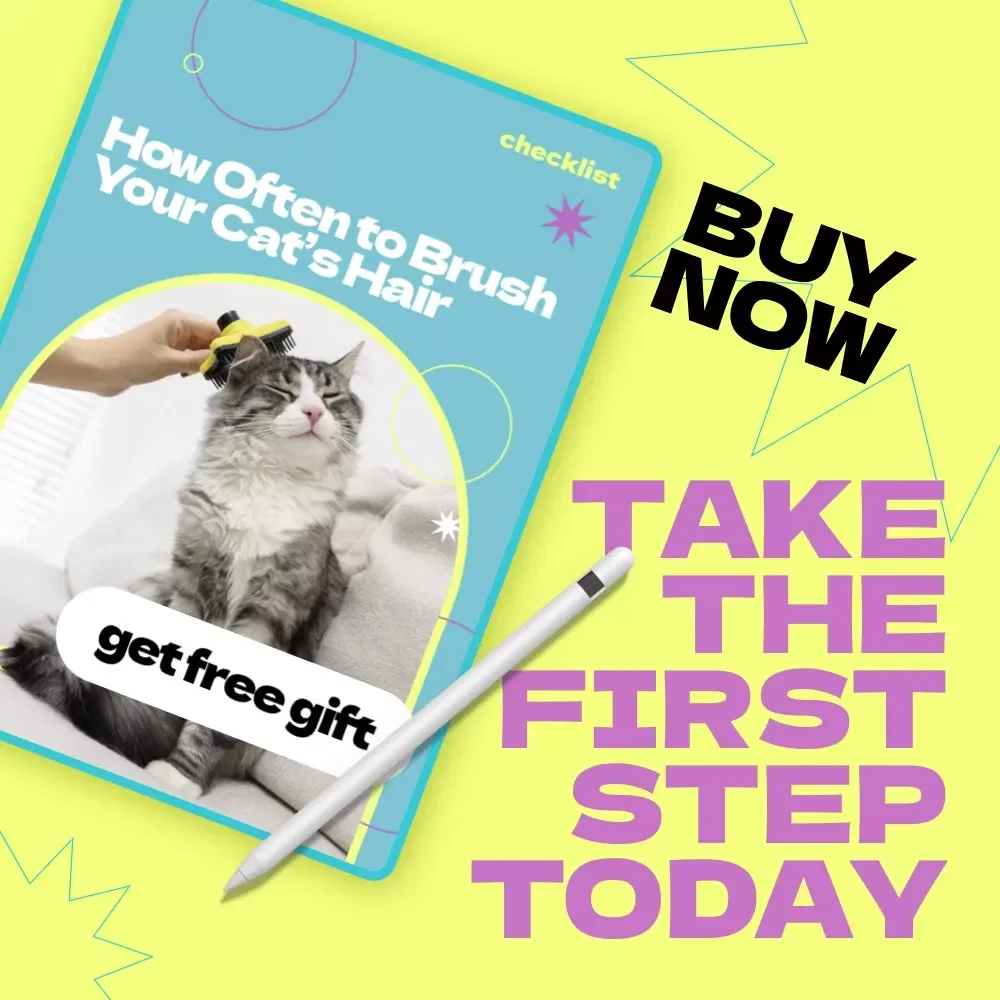How Often to Brush Your Cat’s Hair Checklist – Easy Grooming Guide for Pet Owners, Cat Care Routine Planner, how often to brush cat hair Guide