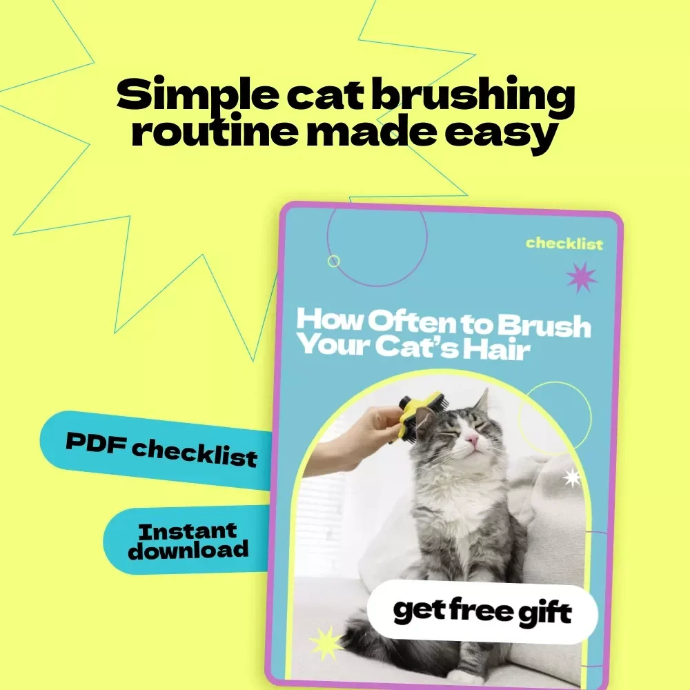 How Often to Brush Your Cat’s Hair Checklist – Easy Grooming Guide for Pet Owners, Cat Care Routine Planner, how often to brush cat hair Guide