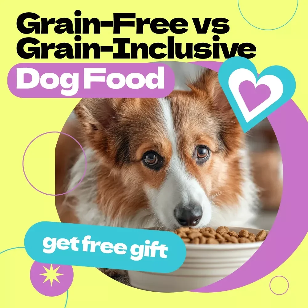 Choosing Between Grain-Free and Grain-Inclusive Dog Food | Ultimate Guide to grain free dog food vs grain inclusive for Smarter Pet Nutrition Decisions