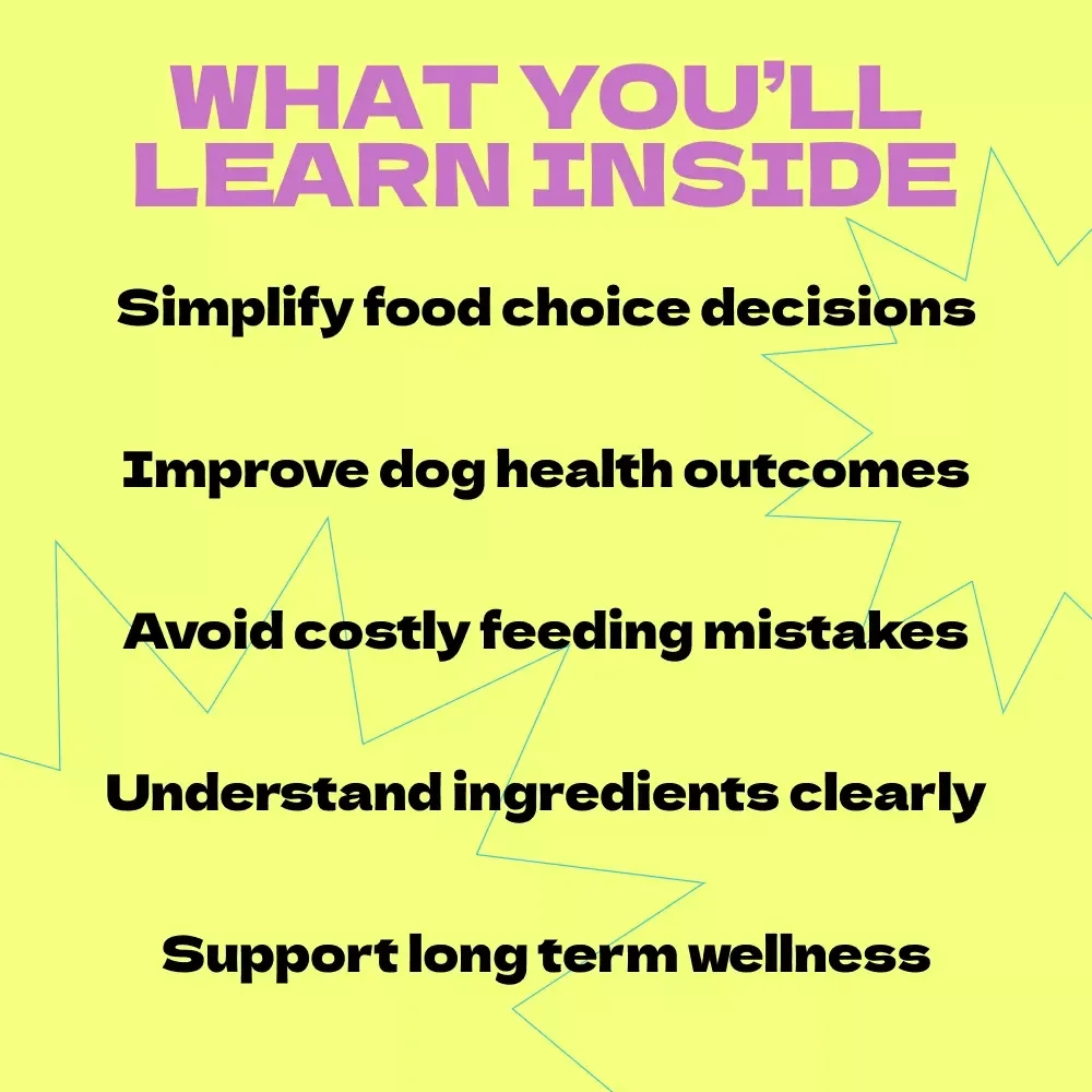 Choosing Between Grain-Free and Grain-Inclusive Dog Food | Ultimate Guide to grain free dog food vs grain inclusive for Smarter Pet Nutrition Decisions