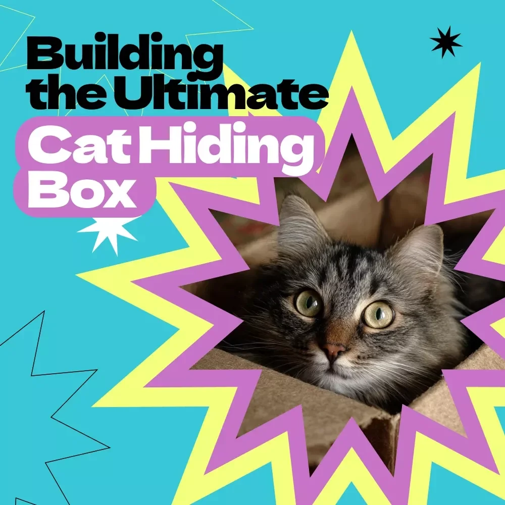 Building the Ultimate Cat Hiding Box – Complete DIY Guide | How to Make Cat Hiding Box for Happy, Stress-Free Cats | Printable eBook & Checklist