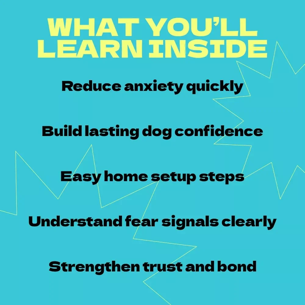 How to Create a Safe Space for Your Scared Dog – Complete Guide on how to make safe space for scared dog, Calm Training, Anxiety Relief & Confidence Building