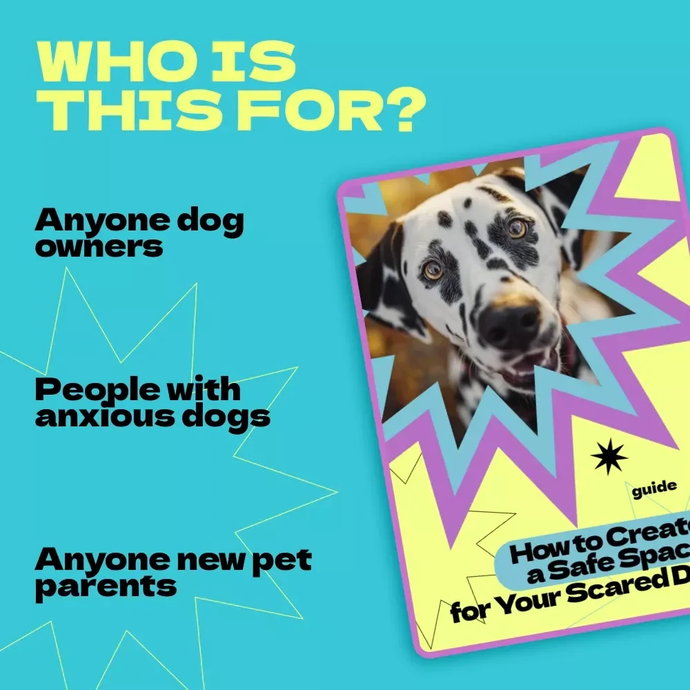 How to Create a Safe Space for Your Scared Dog – Complete Guide on how to make safe space for scared dog, Calm Training, Anxiety Relief & Confidence Building