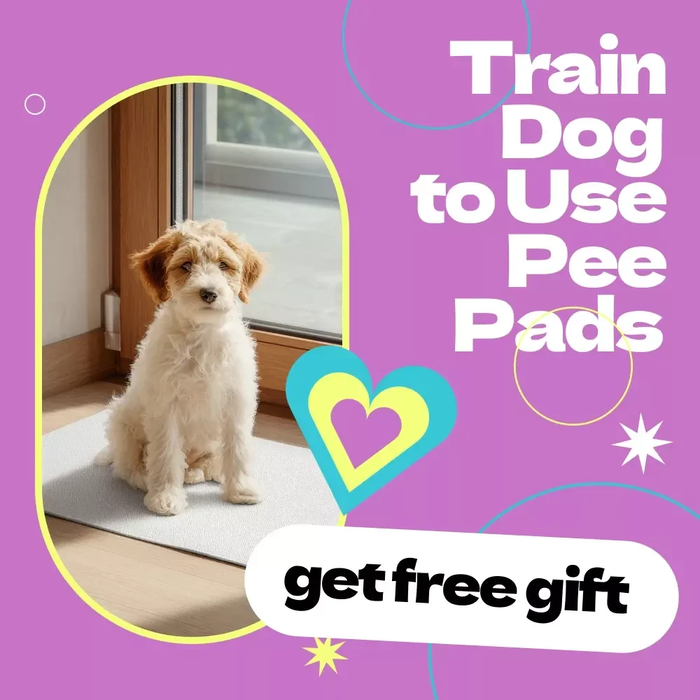 Pee Pad Pro: Teaching Your Dog Where to Go – A Complete Guide on how to train dog to use pee pads for Puppies & Busy Pet Owners