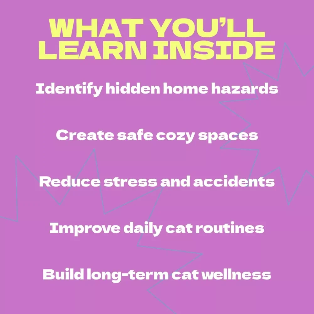 How to Make Your Home Cat-Friendly – Complete Guide on how to make home safe for cat | Cat Safety Checklist & Cozy Living Tips